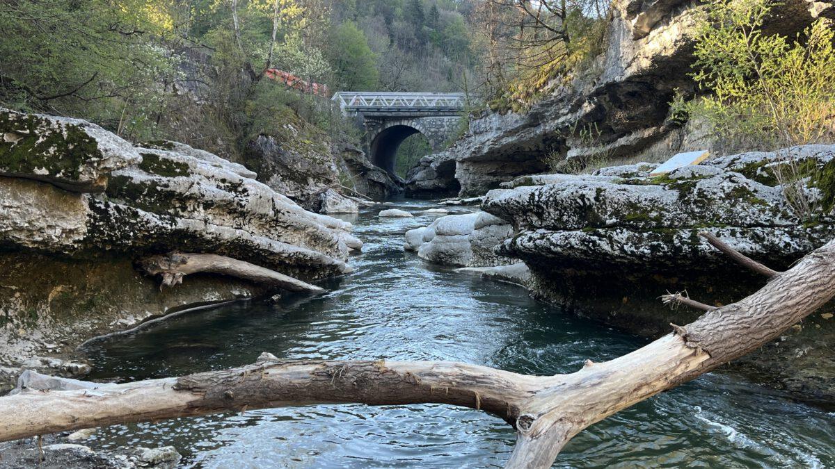 Erfrischung am Morgen